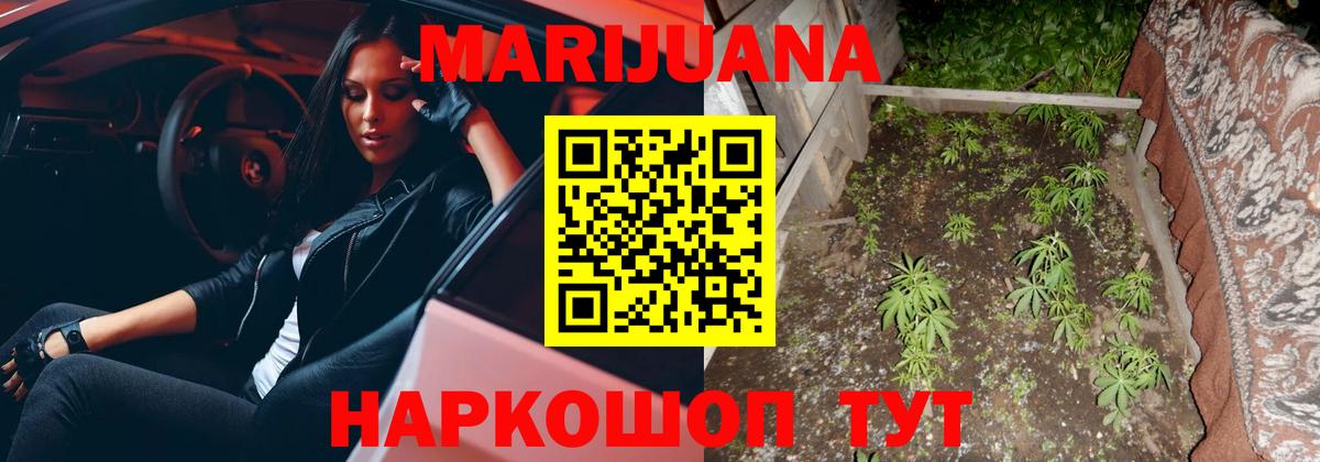 Конопля Amnesia Бийск
